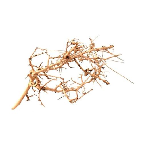 WabiFlur - Natürliches Tiny Holz für Aquarium Zwerggarten und Terrarien - Schafft einen Wilden und einzigartigen Ambinete, Größe Medium Einzelstück 15-20 cm WabiFlur - Natürliches Tiny Holz für Aquarium Zwerggarten und Terrarien - Schafft einen Wilden und einzigartigen Ambinete, Größe Medium Einzelstück 15-20 cm von WabiFlur