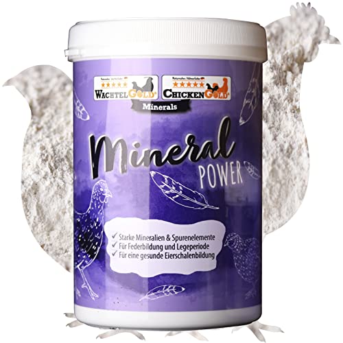 federgold® Mineral Power – Ergänzungsfuttermittel für Hühner, Wachteln & Ziergeflügel | Starke Eierschalen, gesunde Tiere | Mit Calcium, Vitaminen & Spurenelementen federgold® Mineral Power – Ergänzungsfuttermittel für Hühner, Wachteln & Ziergeflügel | Starke Eierschalen, gesunde Tiere | Mit Calcium, Vitaminen & Spurenelementen von WachtelGold