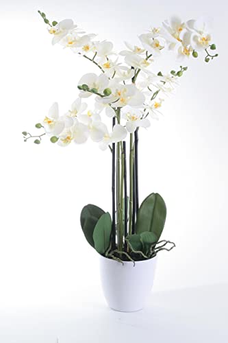 Wackadoo® Kunstblume Orchidee 80 cm mit real Touch Effekt der Blätter und Blüten in weißem Umtopf, Kunstblumen wie echt, Orchideen künstlich, künstliche Orchideen Frühlingsdeko von Wackadoo