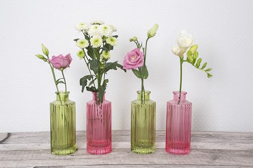 Wackadoo® Vasen Set deko vasen klein Glas vasen modern Vasen Set Dekoration Wohnzimmer Blumenvasen Set Vasen Frühlings deko grün rosa pink Tischvasen Hochzeit Geburtstag von Wackadoo