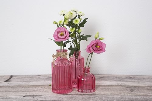 Wackadoo® Vasen Set deko vasen klein Glas vasen modern Vasen Set Dekoration Wohnzimmer Blumenvasen Set Vasen Frühlingsdeko von Wackadoo