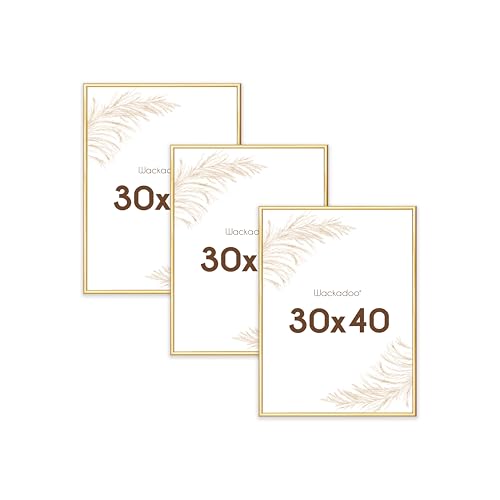Wackadoo Bilderrahmen 30x40 Gold 3er Set Fotowand Fotorahmen mit Glasscheibe Kunststoff Picture frame Posterrahmen von Wackadoo