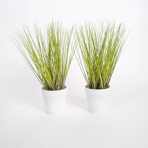 Wackadoo Kunstpflanze 27 cm Gras im Topf 2er Set Deko Dekogras Dekoration, ideal für Badezimmer, Wohnzimmer oder Terrasse von Wackadoo