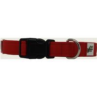 Eco Friendly Bamboo Single Layer Buckle Hundehalsband - Beere | Rot von WaggingGreenPetShop