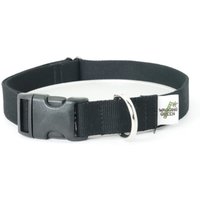 Eco Friendly Bamboo Single Layer Buckle Hundehalsband - Mitternacht | Schwarz von WaggingGreenPetShop