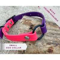 Halsband Für Hunde, Extra Kleines Halsband, 2Farbig von WaggyPooch