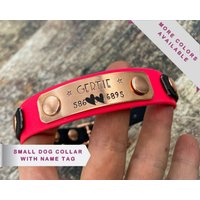 Kleines Personalisiertes Hundehalsband Mit Namensschild, Wasserdichtes Roségoldener Schnalle Und Namensschild von WaggyPooch