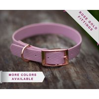 Rosegold Hundehalsband, Wasserdichtes Mädchen Verstellbares Handgemachtes Hundehalsband von WaggyPooch