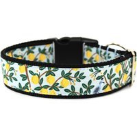 Lemon Hundehalsband 1 "Oder 1, 5" Sommer von Wagologie