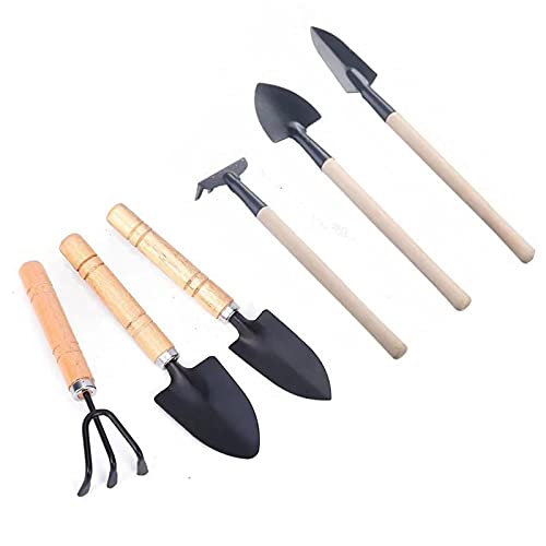 Wagoodter Mini Gartenwerkzeug Set klein leicht Eisen Rechen Schaufel Spaten für drinnen und draußen lose Erde und Topfpflanzen 6 teilig (A) von Wagoodter