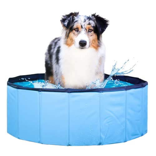 Wahre Tierliebe® Hundepool I Faltbar, ohne Pumpen I Planschbecken besonders Robust & rutschfest I Pool für Kinder, Hunde und Katzen I Hunde Pool von Wahre Tierliebe