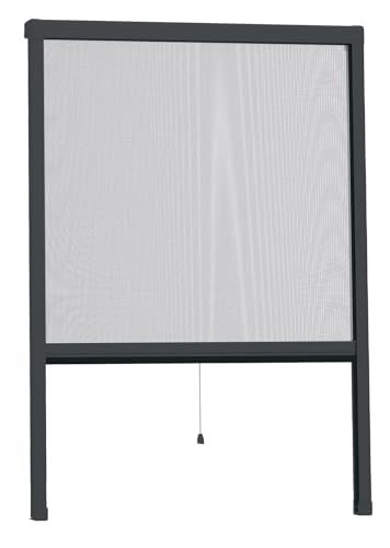 Waidmeister Premium Alurollo Insektenschtzrollo easyHold Insektenschutz-Fensterrollo-Handwerkerqualität (Anthrazit, 160x170cm) von Waidmeister