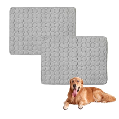 Großes Hundebett, waschbar, rutschfest, weich, Hundematratze, luxuriöses Haustier für kleine, mittelgroße und große Hunde, Hellgrau, 75 x 50 cm, 2 Stück von Waigg Kii