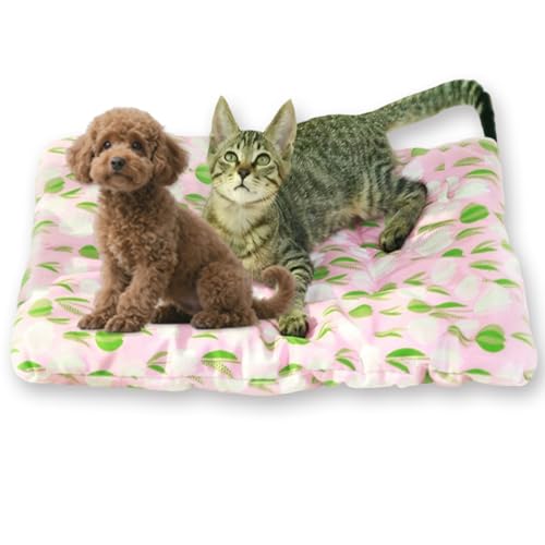 Hundebett, waschbar, beruhigendes Haustierkissen, strapazierfähiges Katzenbett, Sofa, leicht zu reinigen, Matratze für unordentliche Haustiere im Innenbereich (L-80 x 55 cm, C) von Waigg Kii
