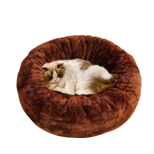 Katzenbetten für Indoor-Katzen, Donut-Hundebetten, rund, beruhigendes Hundesofa, orthopädisches Katzenhöhle, Hochbett für Kätzchen, Welpen, kleine Hunde, waschbar (Kaffee, 50 cm) von Waigg Kii