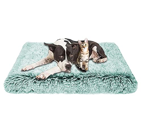 Memory-Schaumstoff-Hundebett, groß, orthopädisch, weich, Plüsch, Hundebett, flauschig, beruhigend, rutschfest, waschbar (100 x 60 x 7 cm, grün) von Waigg Kii