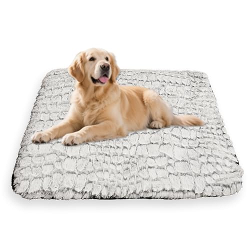 Ultimatives großes Hundebett, waschbar, warm, Katzenschlafbett, beruhigendes Haustierkissen für den Innenbereich, Katzenmatratze, rutschfeste Unterseite, abnehmbarer Bezug (Grau, 50 x 40 cm) von Waigg Kii