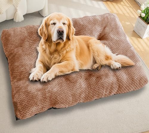 Waigg Kii Großes Hundebett, beruhigender Schlaf, Autobetten, rutschfeste Plüschmatratze, extra groß, orthopädische Hundebetten, Anti-Angst, gemütliches Kissen (Khaki, L-80 x 55 cm) von Waigg Kii