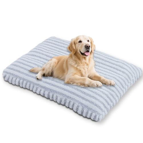 Waigg Kii Großes ultimatives Hundebett mit abnehmbarem Bezug, waschbar, beruhigendes Haustierkissen, Anti-Angst, Hundebett für den Innenbereich, Katzenmatte, rutschfeste Unterseite (Grau, Größe M, 53 Waigg Kii Großes ultimatives Hundebett mit abnehmbarem Bezug, waschbar, beruhigendes Haustierkissen, Anti-Angst, Hundebett für den Innenbereich, Katzenmatte, rutschfeste Unterseite (Grau, Größe M, 53 von Waigg Kii