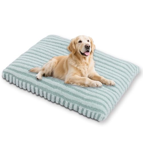 Waigg Kii Großes ultimatives Hundebett mit abnehmbarem Bezug, waschbar, beruhigendes Haustierkissen, Anti-Angst, Hundebett für den Innenbereich, Katzenmatte, rutschfeste Unterseite (Grün, S-40 x 30 cm Waigg Kii Großes ultimatives Hundebett mit abnehmbarem Bezug, waschbar, beruhigendes Haustierkissen, Anti-Angst, Hundebett für den Innenbereich, Katzenmatte, rutschfeste Unterseite (Grün, S-40 x 30 cm von Waigg Kii