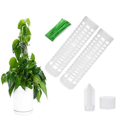 Moosstab Pflanzstab 2 pcs 17cm Monstera Rankhilfe mit 20 Pflanzenbändern für Gartenbepflanzung Efeutute Pflanzenunterstützung (17cm) von Wailicop