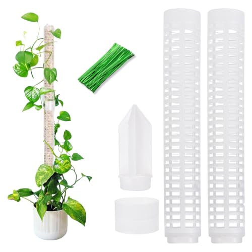 Moosstab Rankhilfe 2 pcs 28.5cm Moosstab Pflanzstab mit 20 Pflanzenbändern für Kletterpflanzen Natürlicher Pflanzenstütze (28.5cm) von Wailicop
