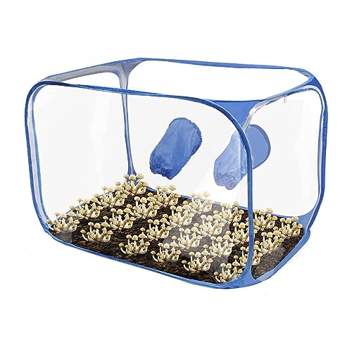 Wakects Pilz -Wachstum Zelt, 2 Arm Ports Pilzanbaubehälter, PVC -Kammer Noch Luftbox -Wachstum Accessoire für die Studienforschung von Wakects