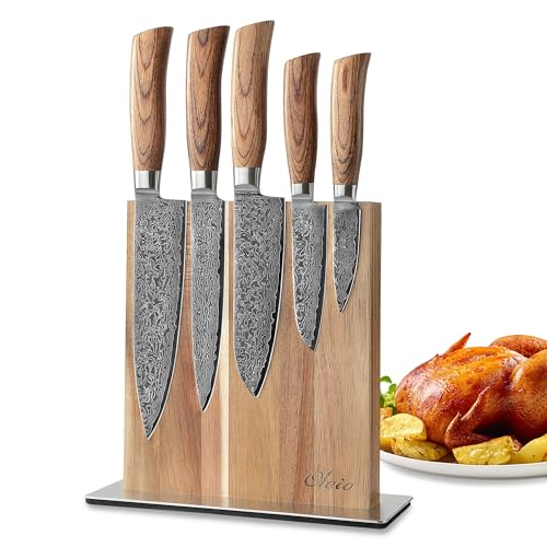 Wakoli EDIB Pro 5er Damastmesser-Set mit Messerblock – 8 bis 20 cm Klingen aus 67 Lagen Damaststahl, VG10-Kern, Pakkaholzgriffen, magnetischer Akazienholzblock – Profi Küchenmesserset von Wakoli