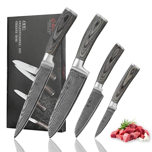 Wakoli Edis Damastmesser-Set | 4-teilig, 8–18 cm aus 67 Lagen Damaststahl mit VG10-Kern | ergonomischer Pakkaholzgriff | für Fleisch, Fisch & Gemüse | in eleganter Holzbox für Hobby- & Profiköche von Wakoli