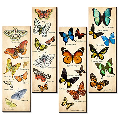4 Stück Nordics Schmetterling Home Wall Decor Schild Vintage Papillons Wall Art Colorful Butterflies Wood Plaque Natural Insect Reference Wooden Printed Sign Hanging Farmhouse Classroom Decoration von Walarky