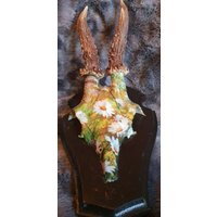 Geweih Schädel Dekogeweih Rehbock Deko Reh Jagdtrophäe Blumenwiese Hirsch Geweih Schädel Dekogeweih Rehbock Deko Reh Jagdtrophäe Blumenwiese Hirsch von Walddeko