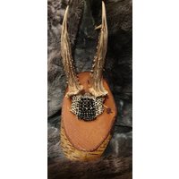 Geweih Schädel Dekogeweih Rehbock Deko Reh Jagdtrophäe Hirsch Strass Schwarz Geweih Schädel Dekogeweih Rehbock Deko Reh Jagdtrophäe Hirsch Strass Schwarz von Walddeko