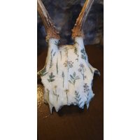Geweih Schädel Dekogeweih Rehbock Deko Reh Jagdtrophäe Natur Blüten Hirsch Geweih Schädel Dekogeweih Rehbock Deko Reh Jagdtrophäe Natur Blüten Hirsch von Walddeko