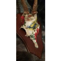Schädel Reh Rehbock Deko Jagdtrophäe Hirsch Vogel Blumen Schädel Reh Rehbock Deko Jagdtrophäe Hirsch Vogel Blumen von Walddeko