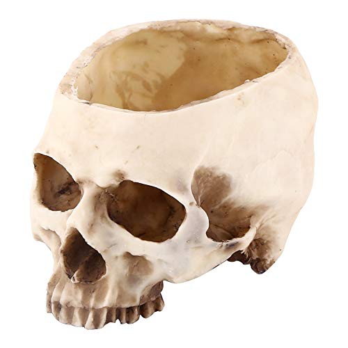 Walfront 1Pc Skull Ornament Resin Skull Head Halloween Deko Multifunktionales Skull Plant Pot Container Geschenk für die Halloween-Kollektion, Creative Blumentopf Kopf von Walfront