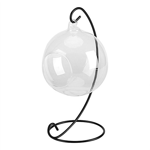 Hängende Pflanzgefäß Vase Set Glas zum Aufhängen Terrarium Luftpflanze Sukkulenten Pflanzgefäße,Pflanzenstütznetz Hängende Pflanzgefäß Vase Set Glas zum Aufhängen Terrarium Luftpflanze Sukkulenten Pflanzgefäße,Pflanzenstütznetz von Walfront