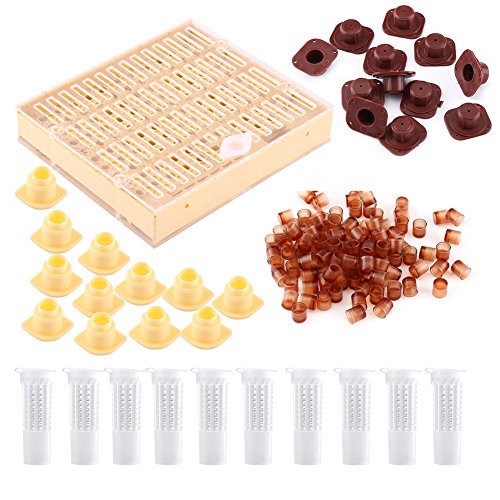 Walfront Bienenzucht Queen Aufzucht Box+110 Cell Cups +12zellenstangenblöcke Und Kappen +10haarrollenkäfige Nicot Zuchtsystem Ameisen Königin Walfront Bienenzucht Queen Aufzucht Box+110 Cell Cups +12zellenstangenblöcke Und Kappen +10haarrollenkäfige Nicot Zuchtsystem Ameisen Königin von Walfront