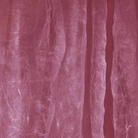 Walimex Stoffhintergrund (L x B) 6m x 3m Bordeaux von Walimex