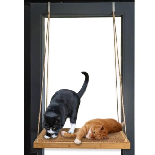 Walirü® 2 in 1 Hängematte Katze Flügelfenster+ Kratzbaum in Kokosnussfaser- Katzenbett aus Holz FSC Höhenverstellbar mit Häkchen- Unterstützt 2 Katzen von Walirü