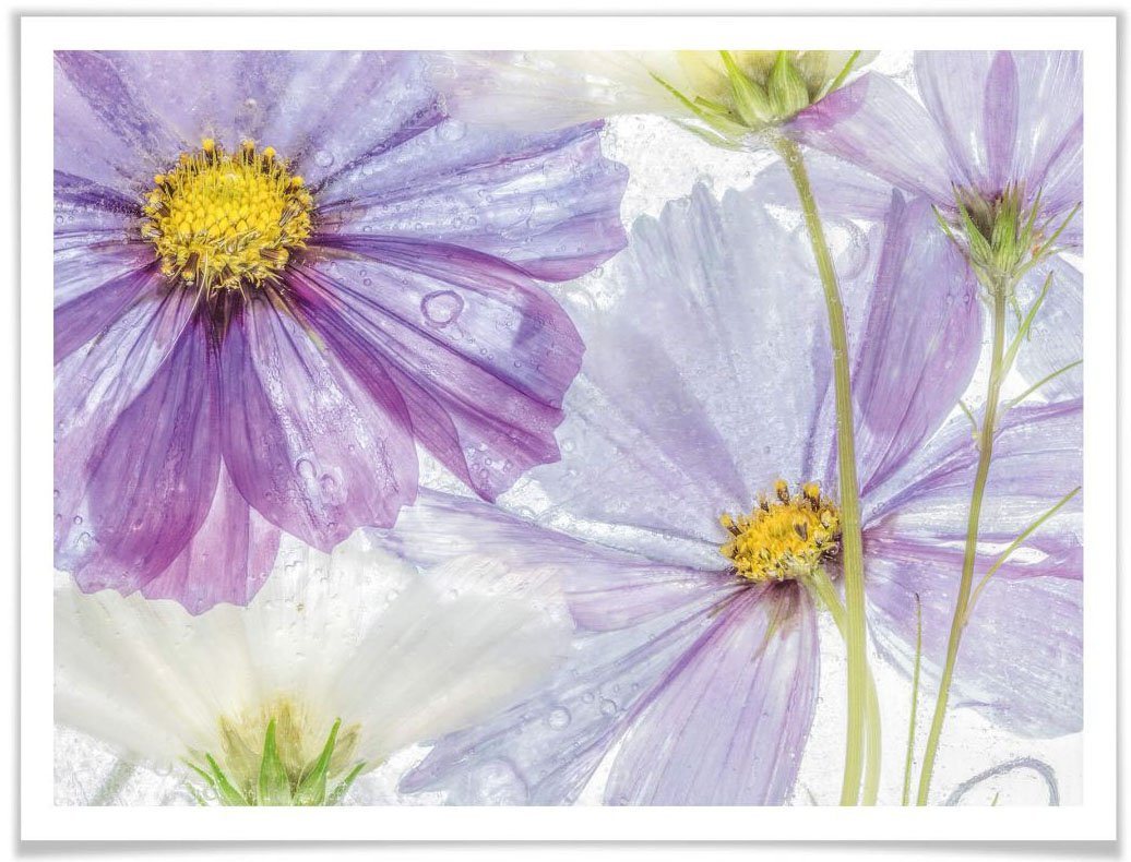 Wall-Art Poster Florale Lila Blau Blumen Kunst, Blumen (1 St), Poster ohne Bilderrahmen von Wall-Art