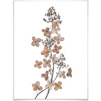 Wall-Art Poster "Hortensie", Blumen, (1 St.) von Wall-Art