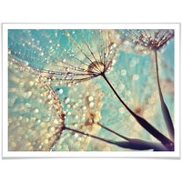 Wall-Art Poster "Magische Pusteblume", Blumen, (1 St.) von Wall-Art