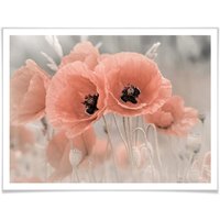 Wall-Art Poster "Mohnblumen Pastell", Blumen, (1 St.) von Wall-Art