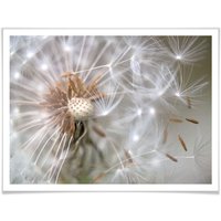 Wall-Art Poster "Pusteblume im Flug", Blumen, (1 St.) von Wall-Art