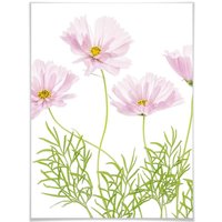 Wall-Art Poster "Sommerblume", Blumen, (1 St.) von Wall-Art