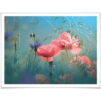 Wall-Art Poster "Wildblumen Aquamarin", Blumen, (Set, 1 St.) von Wall-Art