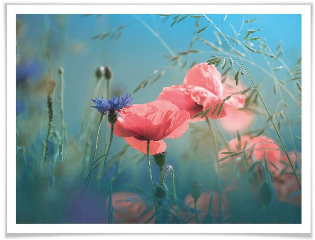 Wall-Art Poster Wildblumen Aquamarin, Blumen (Set, 1 St), Poster ohne Bilderrahmen von Wall-Art