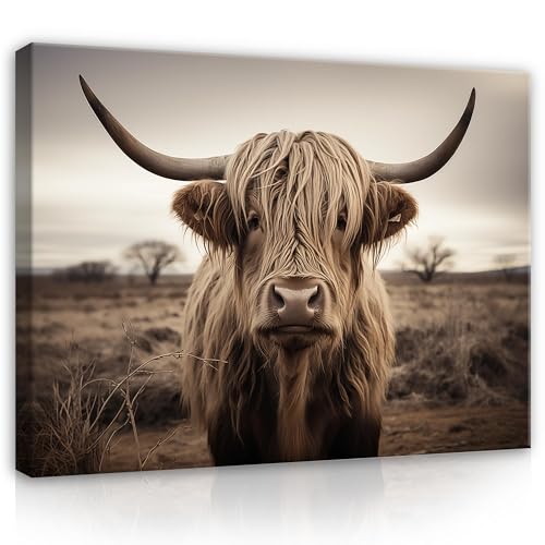 Bilder Highland Cow Schottisches Hochlandrind Natur 100x75 cm - Modern Leinwandbild Groß XXL Schlafzimmer Wohnzimmer Wandbild Kunstdruck Wandbilder Canvas Desing Wand Bild auf Leinwand Aufhängefertig von WallArena