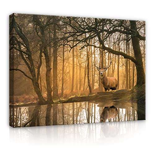 Bilder Hirsch Wald Natur Waldtiere Tiere 120x80 cm - Leinwandbild Modern Canvas Groß XXL Schlafzimmer Wohnzimmer Wandbild Kunstdruck Wandbilder Wand Bild auf Leinwand Aufhängefertig von WallArena