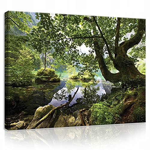 Bilder Wald Baum Natur Modern Schlafzimmer Wohnzimmer Leinwandbilder Wandbild Kunstdruck Wandbilder Wand Bild auf Leinwand UV-Beständig Aufhängefertig (PP10222, O1 (100 x 75 cm)) von WallArena